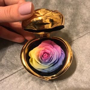 Preserved rainbow rose with gold rose case